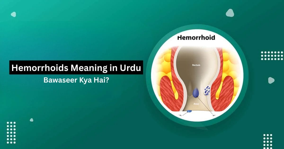 Hemorrhoids Meaning in Urdu